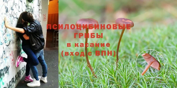 крисы Армянск